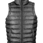 Men's Ice Bird Padded Gilet