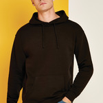 Regular Fit Hoodie